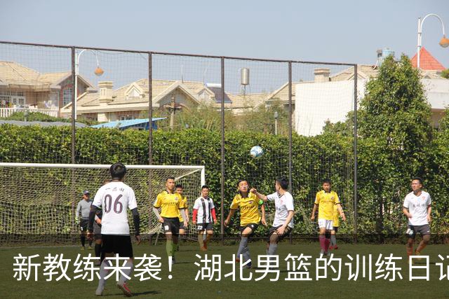 新教练来袭！湖北男篮的训练日记大曝光